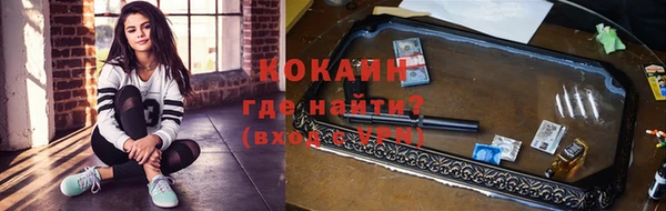 спайс Алзамай